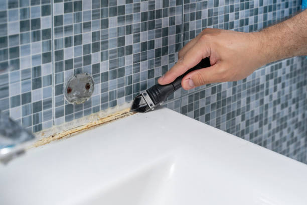 Best Certified Mold Removal  in Shannon Hills, AR